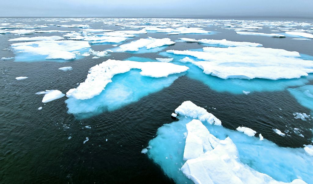 Eisberge in der Arktis