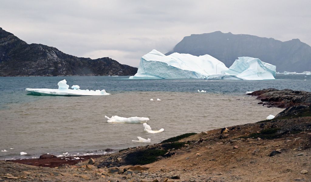 Eisberge vor Salliaruseq