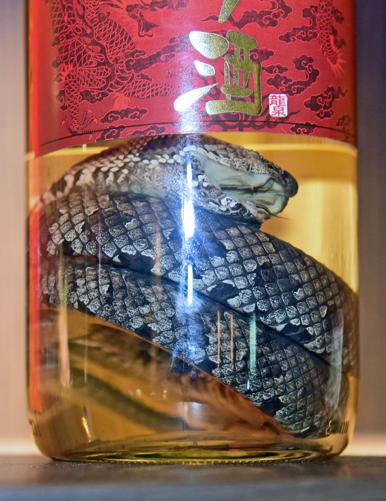 Schlangen-Schnaps in Okinawa