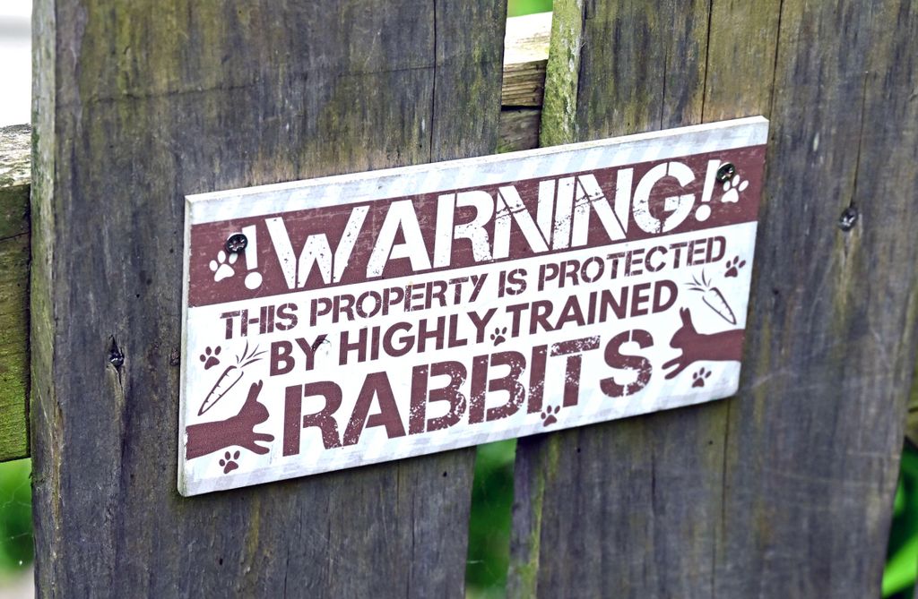 Warnung vor den Kaninchen in St. Mary′s
