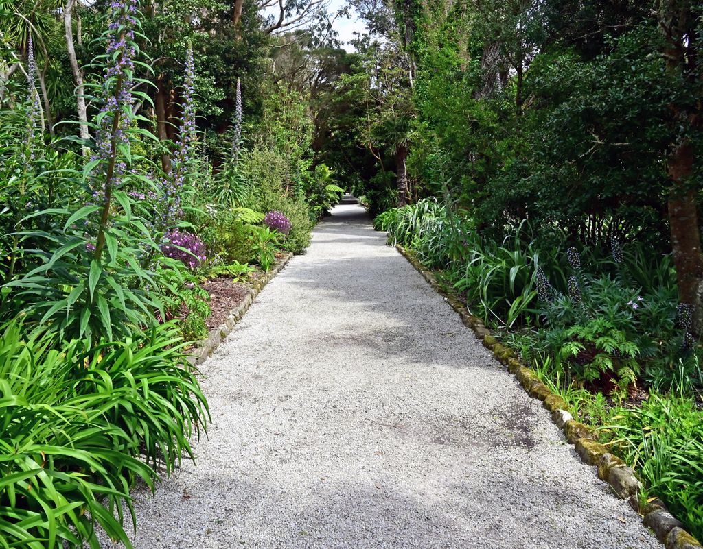 Pflanzen aus der ganzen Welt im Tresco Abbey Garden, Guernsey