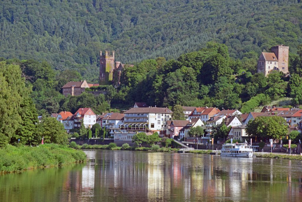 Blick auf Neckarsteinach