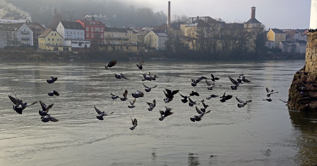 Passau7.jpg