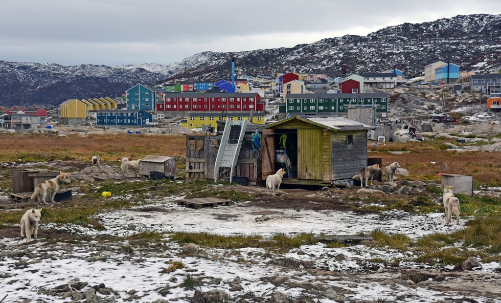 Huskys in Ilulissat