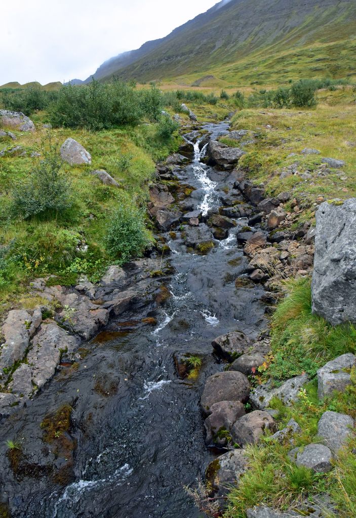 Ein Miniwasserfall in Ísafjörður