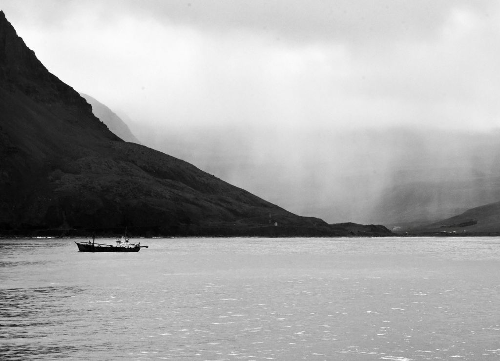 Nebel in den Westfjorden von Island