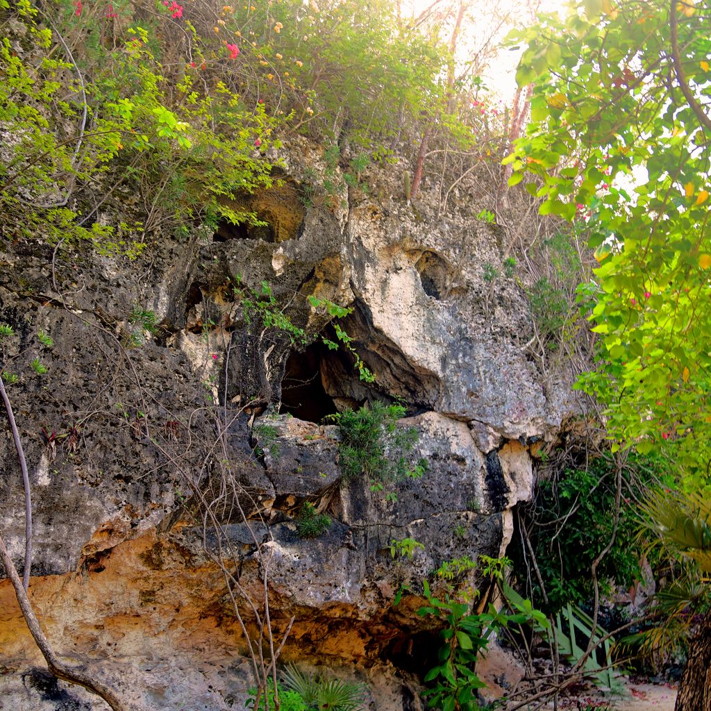 Freaky Face Cave, Cayman Brac