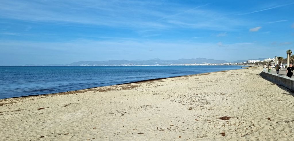 Der Strand von Arenal auf Mallorca