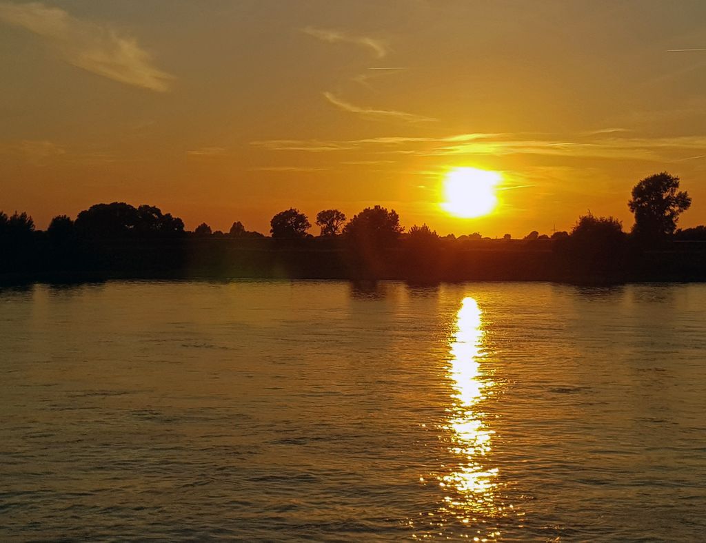 Sonnenuntergang auf der MS Belvedere