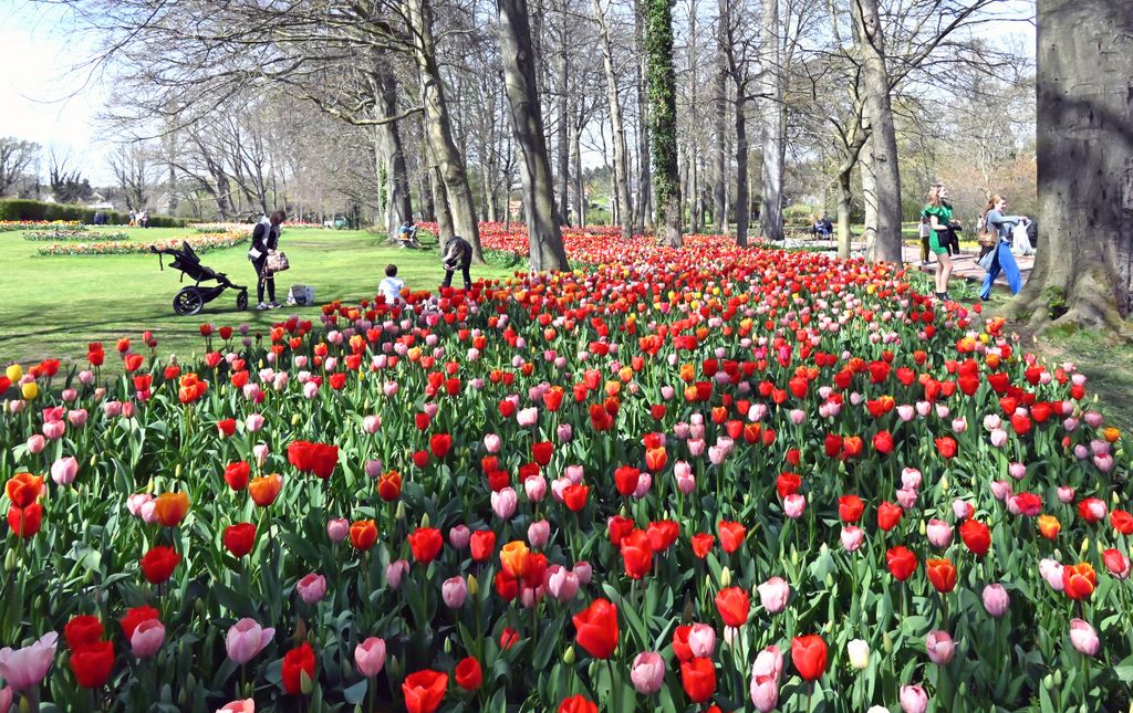 Blumenschau auf der Floralia 2022 / Belgien