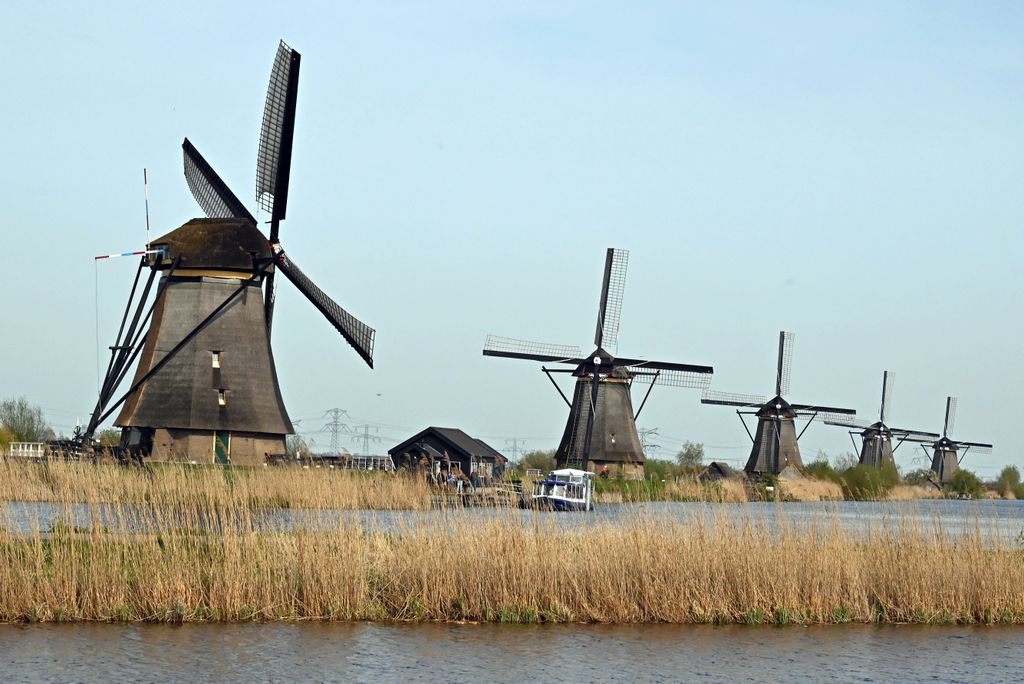 Ausblick auf die Windmühlen in Kinderdijk