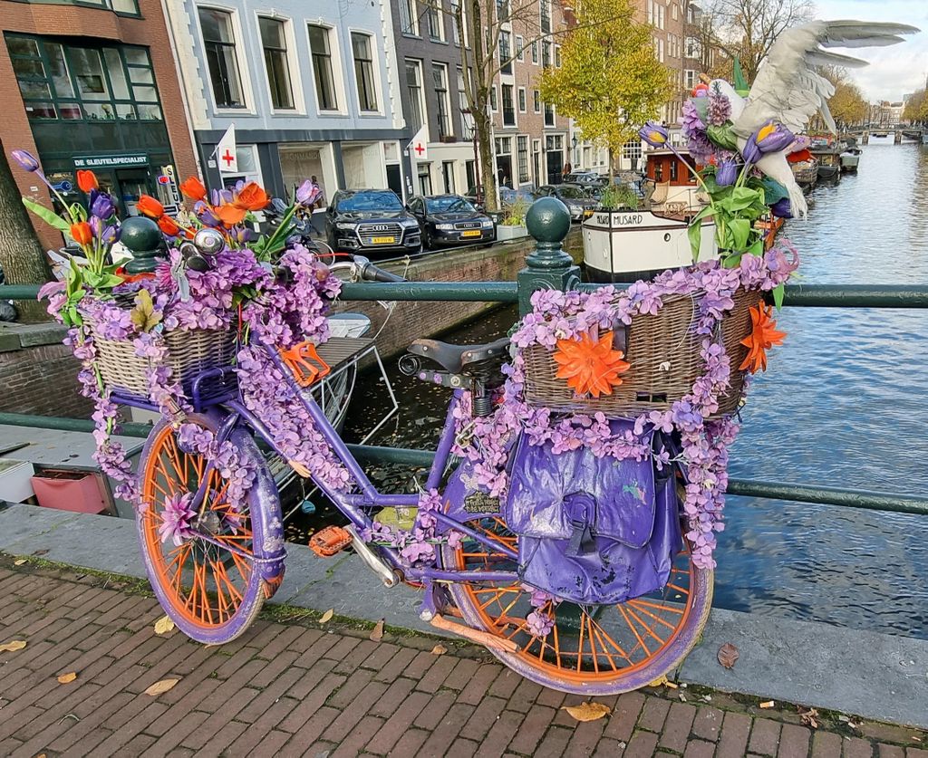 Ein Blumen-Rad in Amsterdam