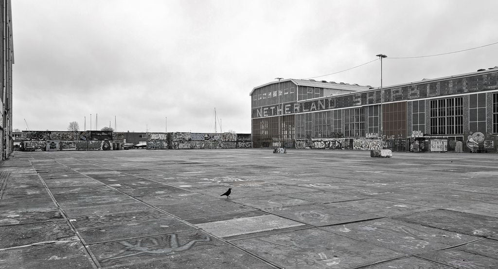 Die NDSM-Werft in Amsterdam