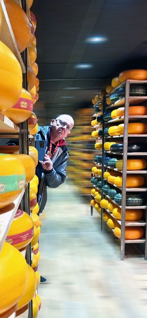 Zinni und viel Käse in der Gouda Cheese Experience in Gouda