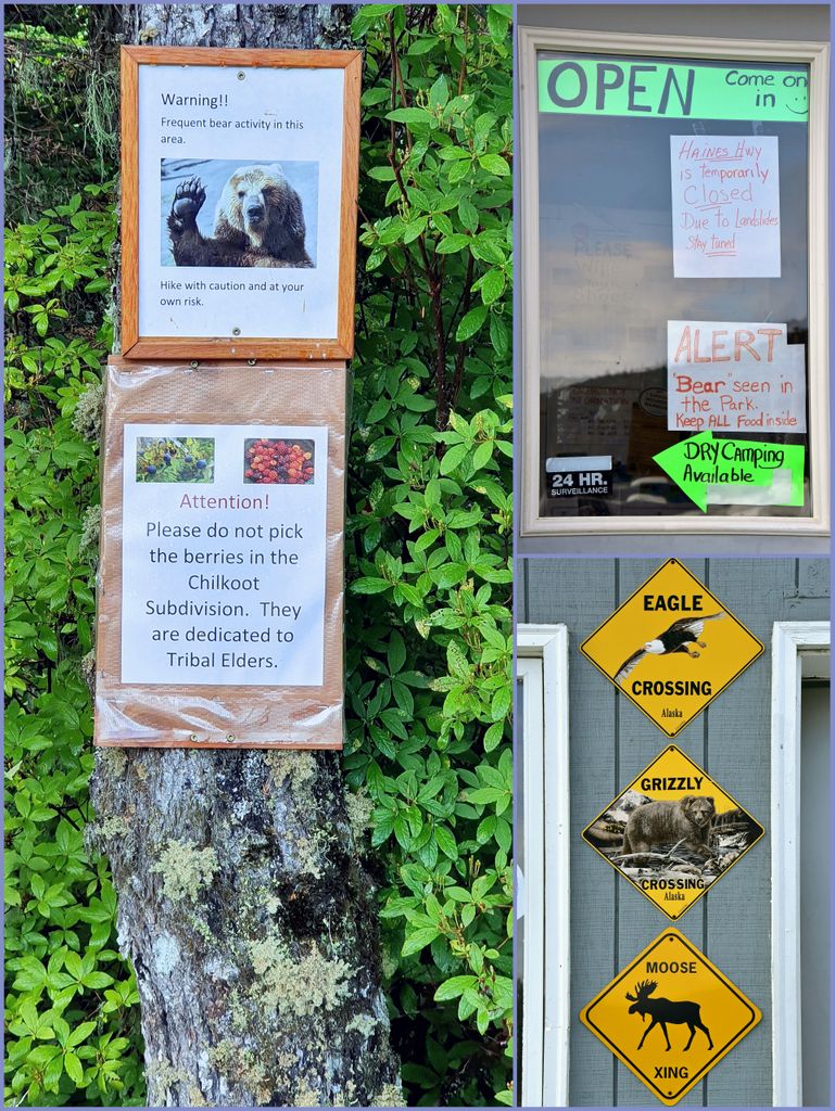 'Warnung vor dem Bär' in Haines