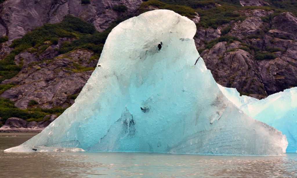 Ein Eisberg im Tracy-Arm-Fjord