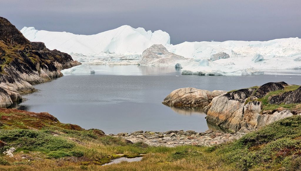 Zinni ist wieder am Ilulissat-Eisfjord