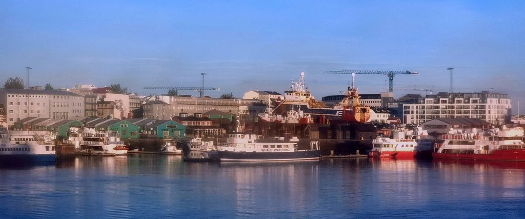Blick auf den alten Hafen in Reykjavik