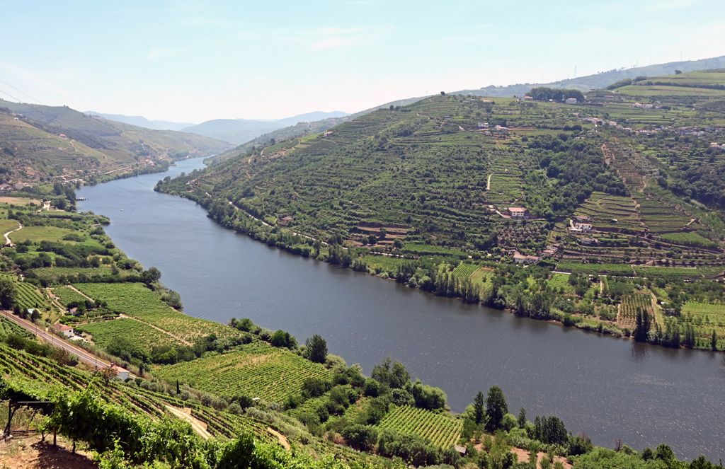 Blick auf die Douro