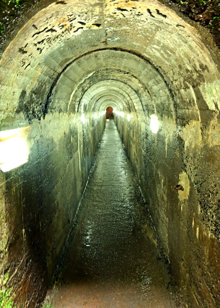 Das Tunnel der Vulkanhöhle Algar do Carvão auf Terceira