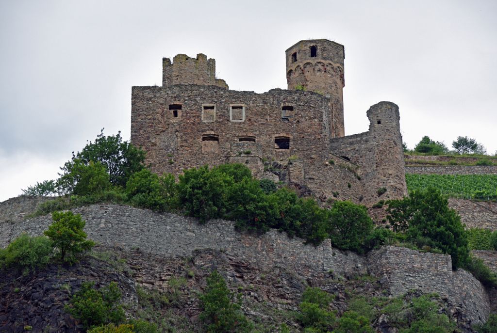 Die Burg Ehrenfels