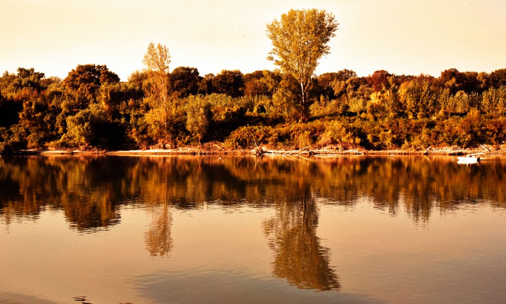 Spiegelungen auf der Donau