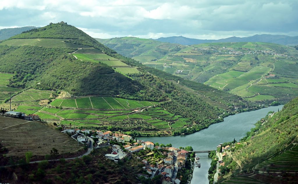 Ausblick auf den Douro