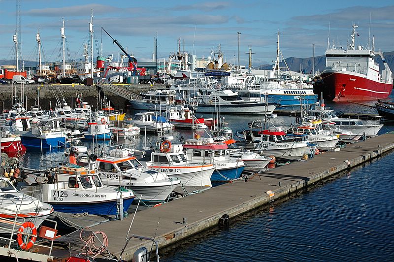 Im Hafen von Reykjavik