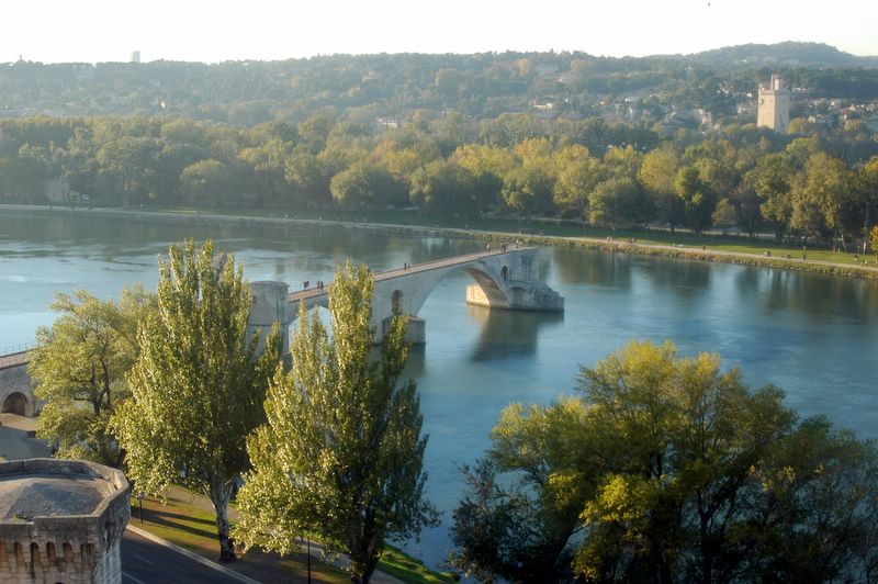 Die Rhone und die Brücke von Avignon