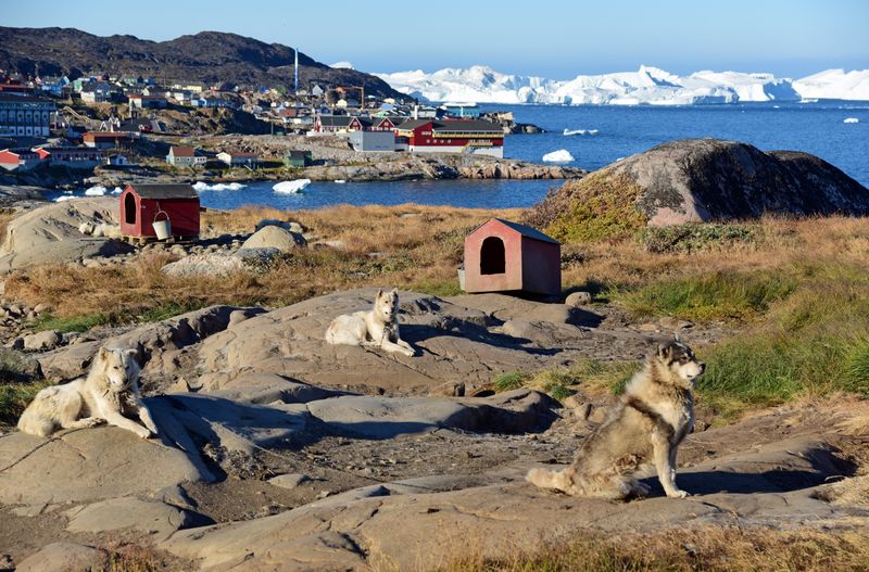 Hundies vom Arctic Hotel in Ilulissat
