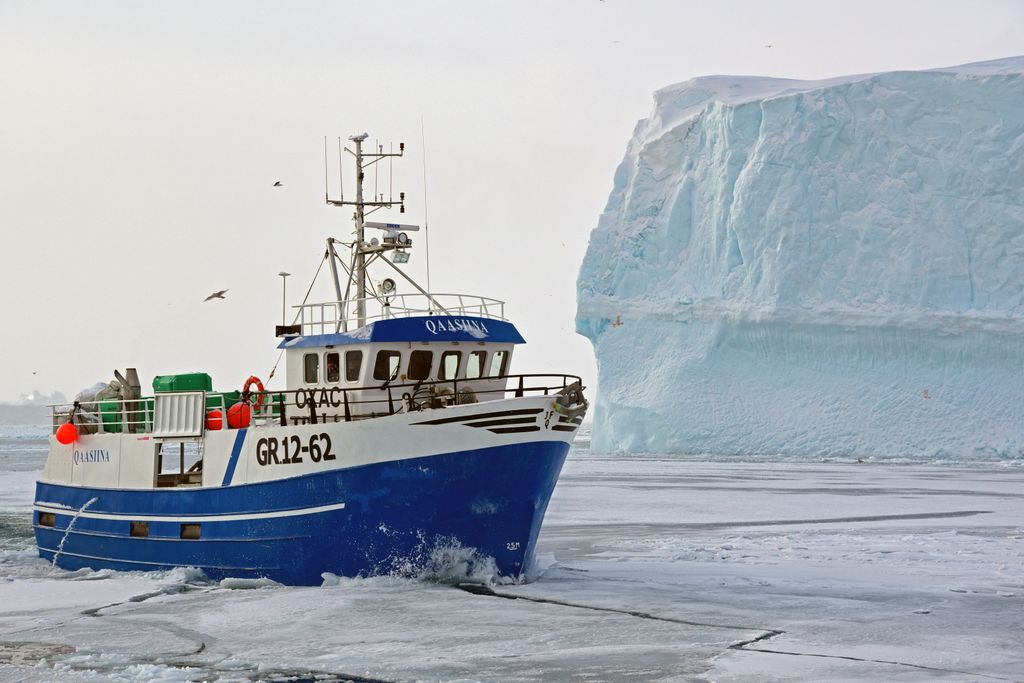 Eine Bootsfahrt zum Eis-Fjord von Ilulissat