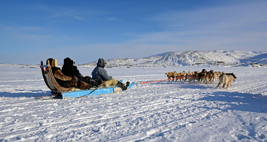Hundeschlittenfahrt in Ilulissat