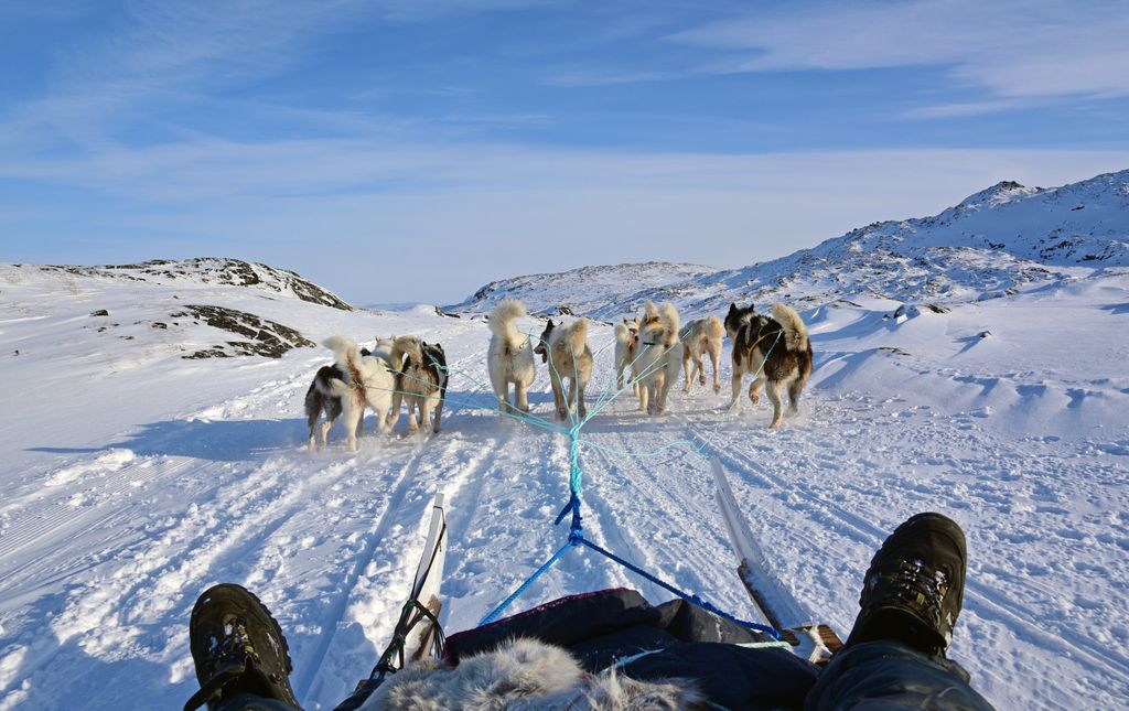 Hundeschlittenfahrt in Ilulissat