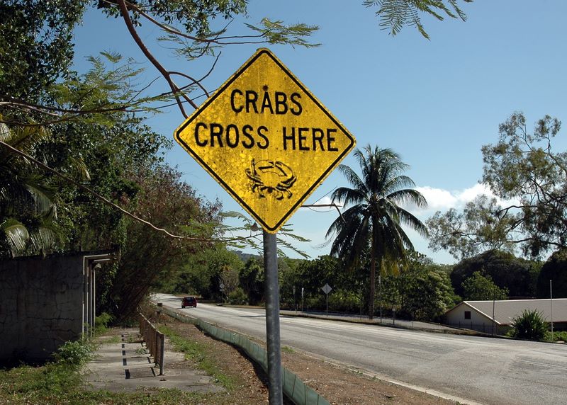 Warnung vor den Krabben