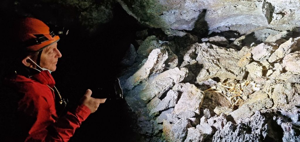 Ein Skelett in der Vatnshellir Höhle