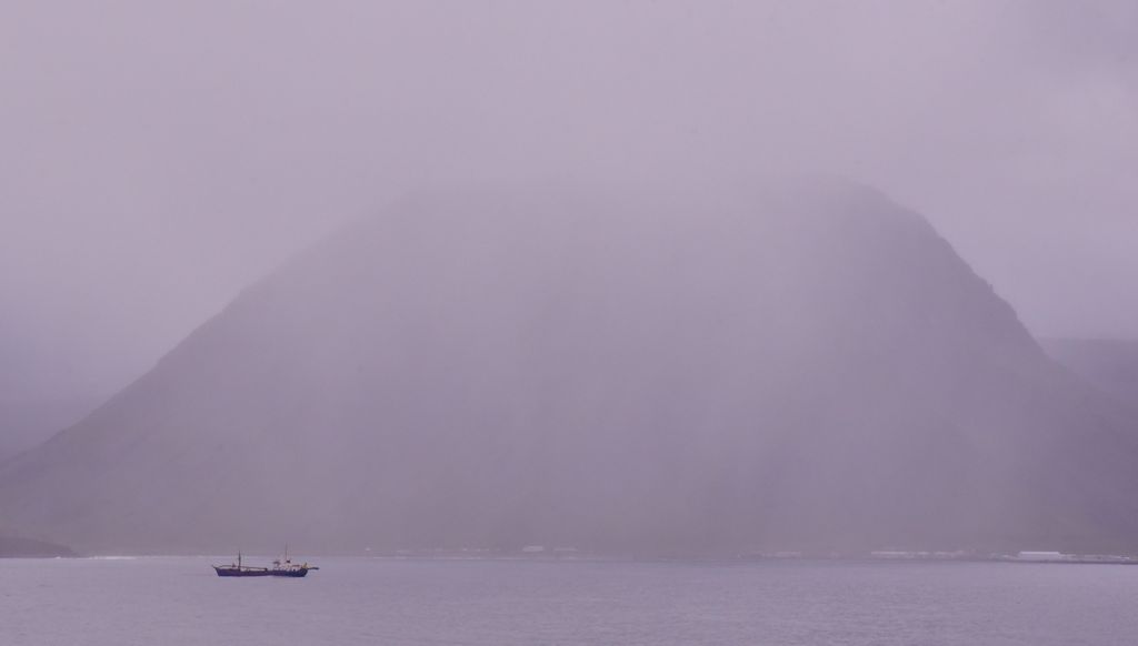 Nebel in den Westfjorden von Island