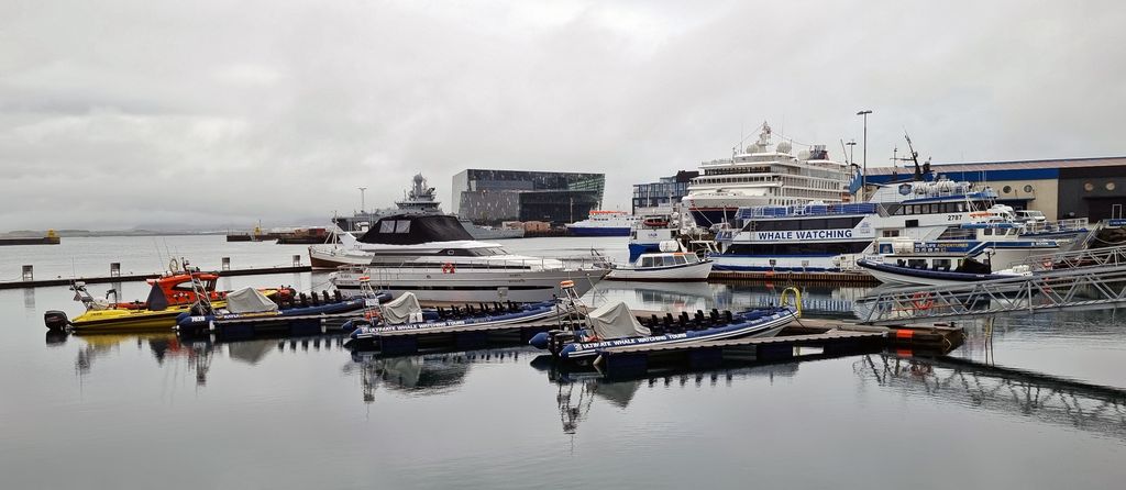Der Hafen von Reykjavik