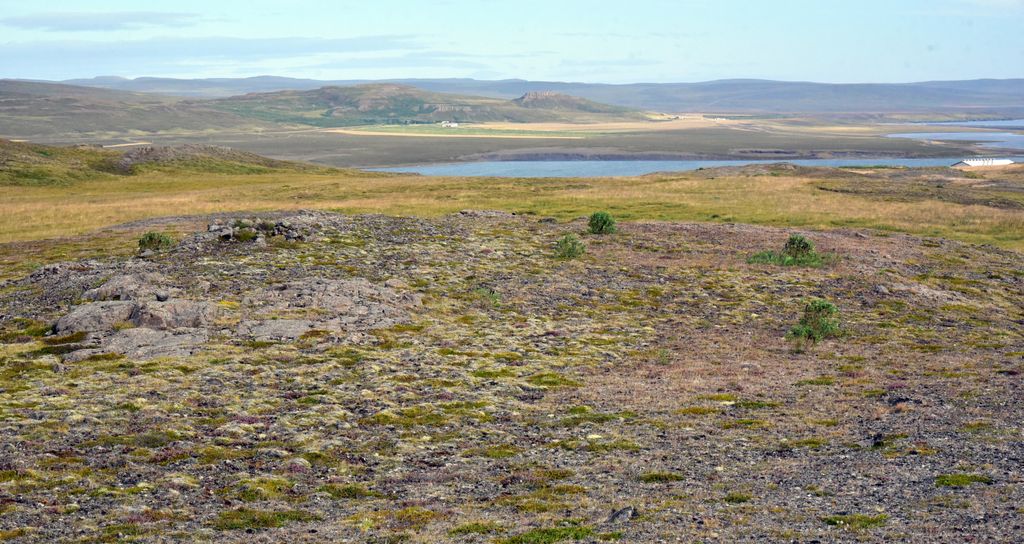 Lava-Steine in Vopnafjörður