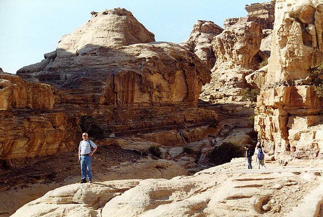 Zinni in Petra