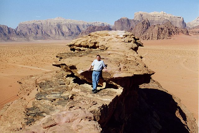 Zinni in der Wüste 'Wadi Rum'
