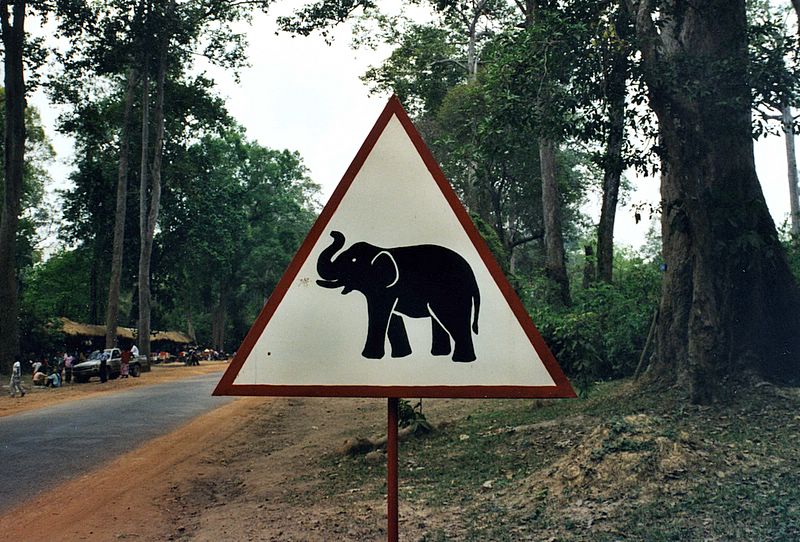 Warnung vor den Elefanten