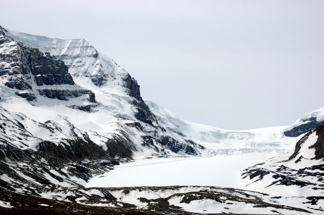 Der Athabasca Glacier