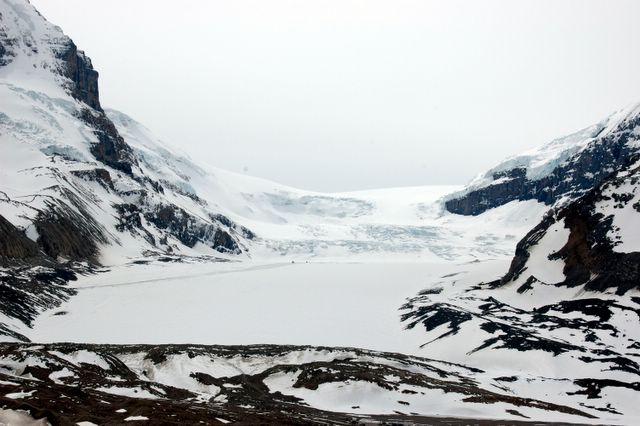 Der Athabasca Glacier