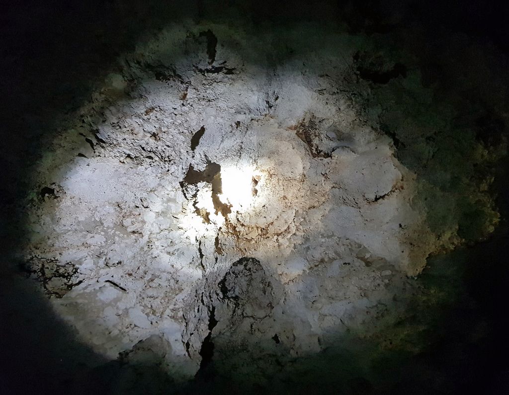 In einer Höhle in Cayman Brac (Handybild)