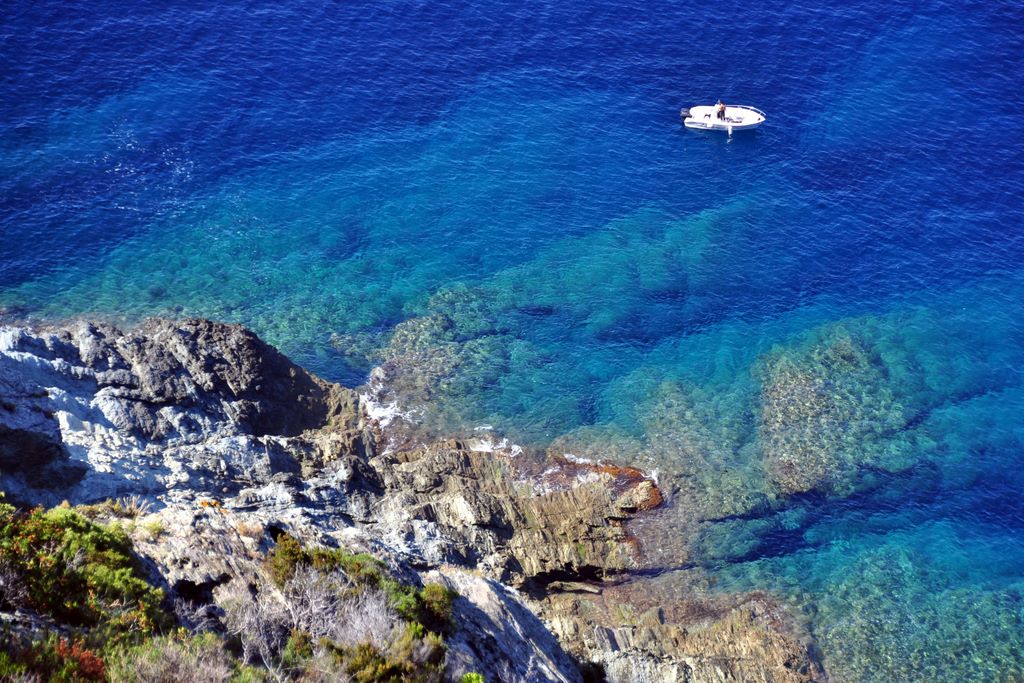 Cape Corse
