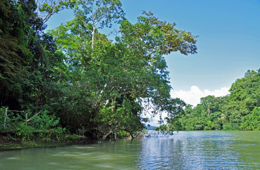 Der Gatun See in Panama