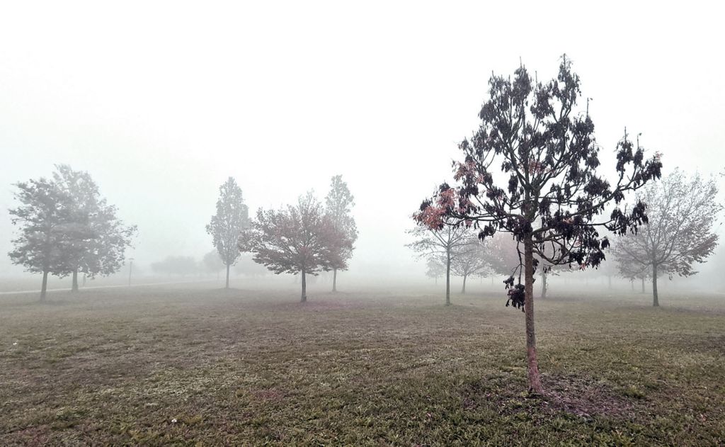 Nebel im San Giuliano Park in Mestre