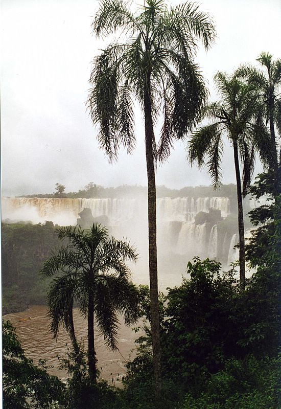 Die Iguazu Fälle