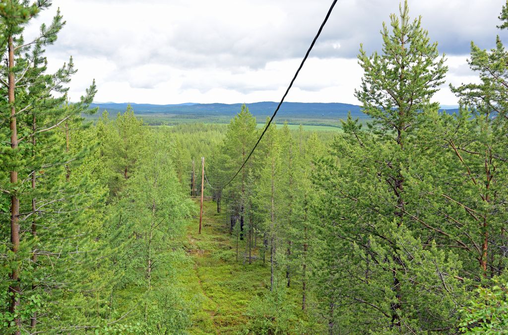 Ausblick vom 'Høyde 96' Aussichtsturm
