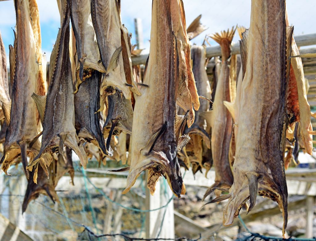 Getrockneter Stockfisch in Norwegen